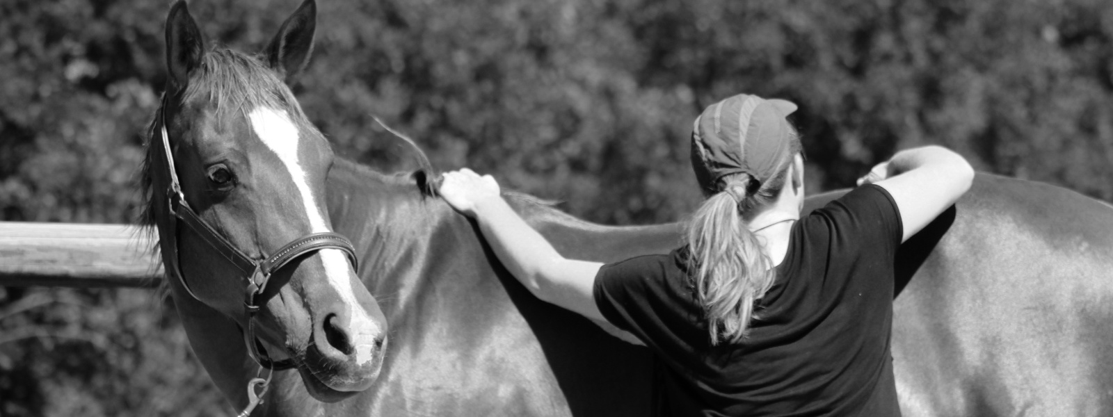 Pour une équitation respectueuse de l'intégrité physique et mentale du couple cavalier-cheval